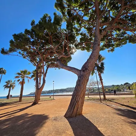Lägenhet Foch Riviera, Sejour D'exception Sur Antibes, T3 4 A 6 Personnes *